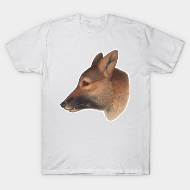 Canis dingo Australian wildlife canine T-Shirt by Captain-Jackson